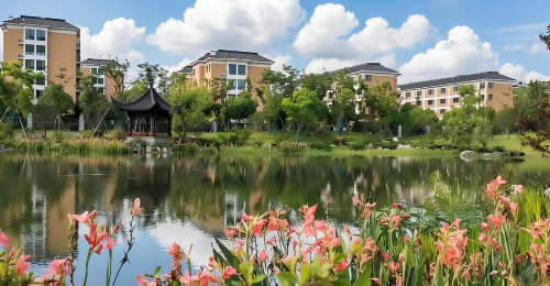 阿尔茨海默症照护服务-杭州金秋护理院-杭州市西湖区